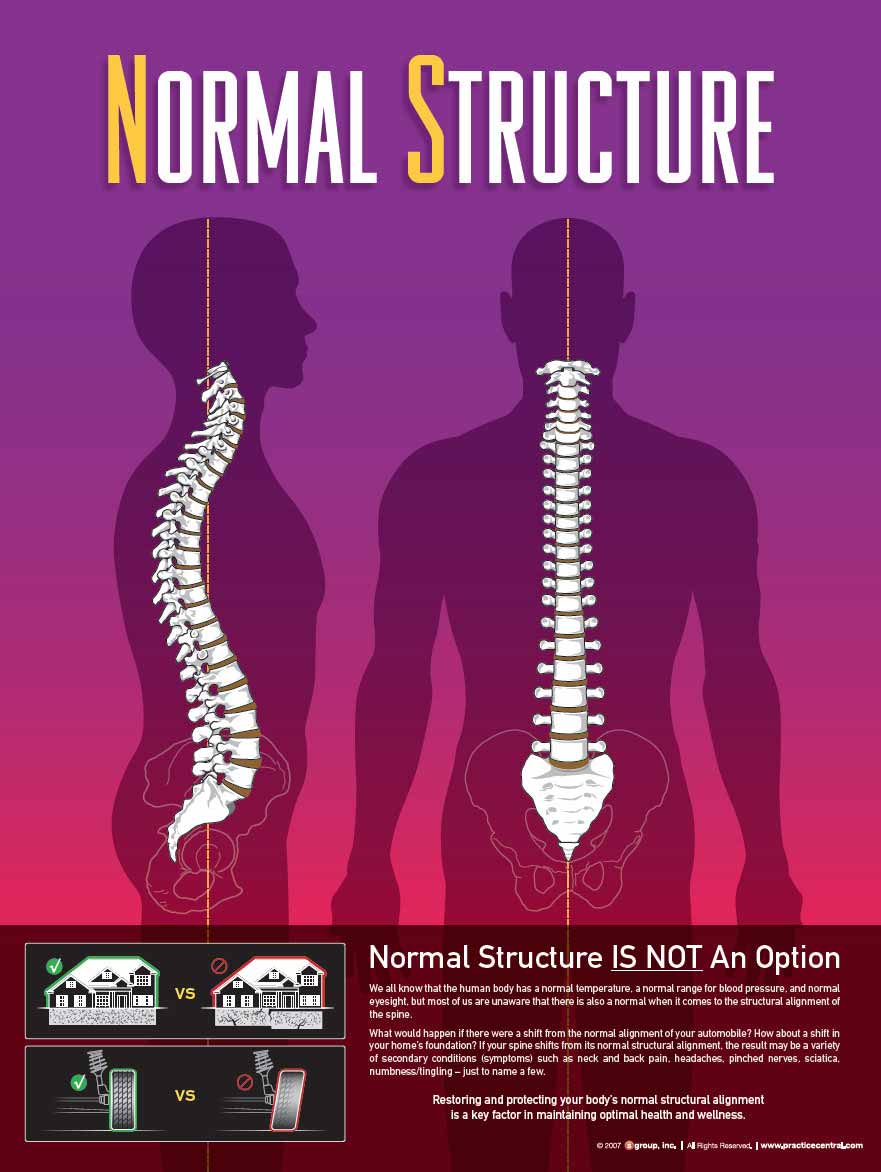 Chiropractic Kapolei HI Normal Structure Graphic